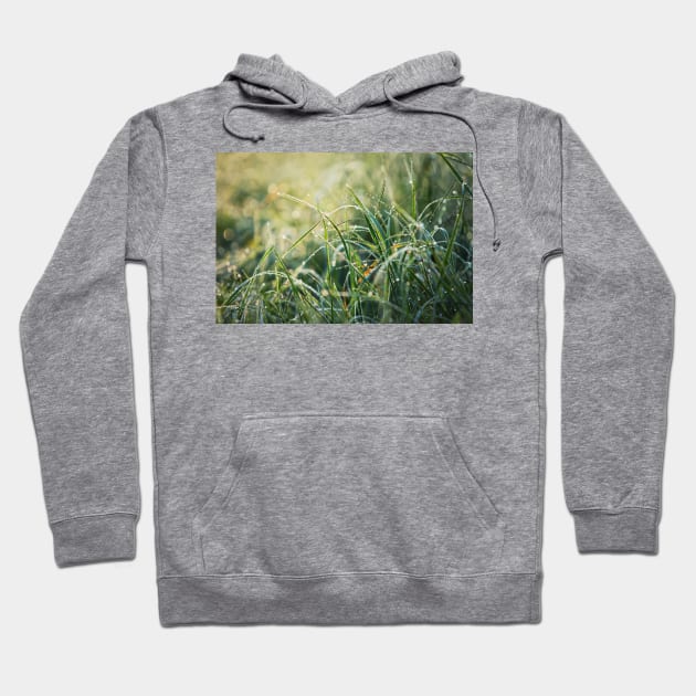 grass dew Hoodie by 1STunningArt